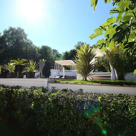 Garden With The Swimming Pool - 1 *