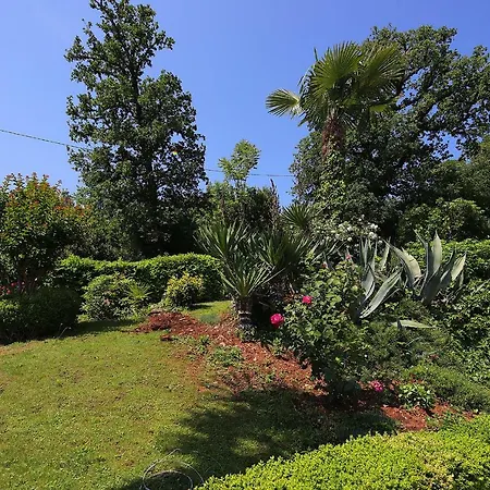 Apartment Garden With The Swimming Pool - 1